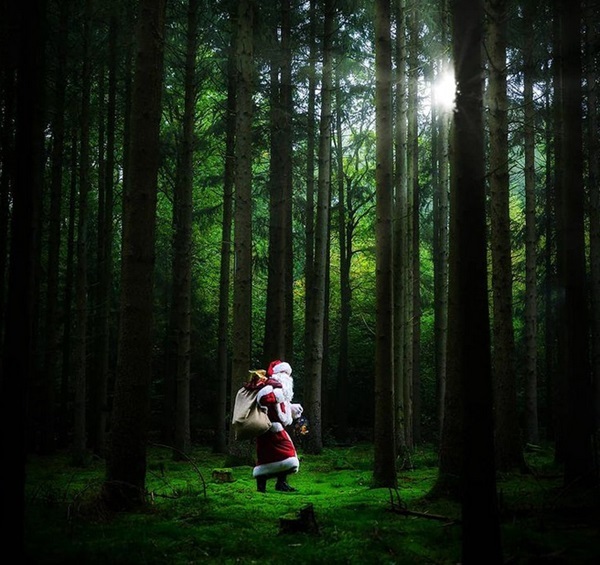 Weihnachtsmann Claudius mit Geschenkesack und Laterne, unterwegs im Fichtenwald
