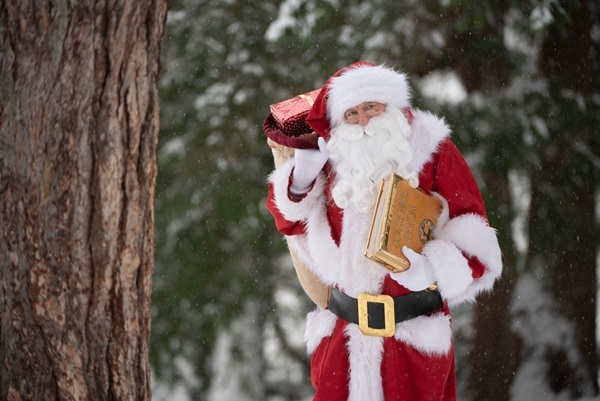 Weihnachtsmann Claudius im Schnee neben Baumstamm, Goldenes Buch im Arm und rote Geschenke im Sack